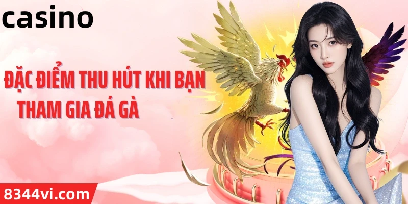 Hình ảnh quảng cáo của hb888 hiển thị nền tảng và các lợi ích